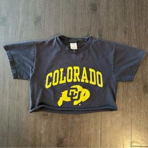 Colorado Graphic Cropped T
